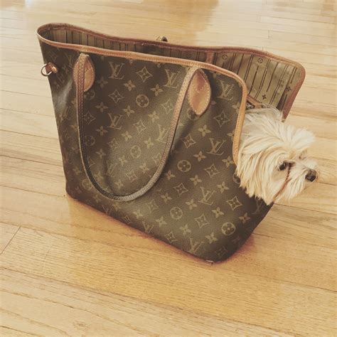 borsa cane louis vuitton copia|Animali: ecco la Louis Vuitton Pet Carrier .